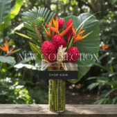 Grosvenor Estate Instagram